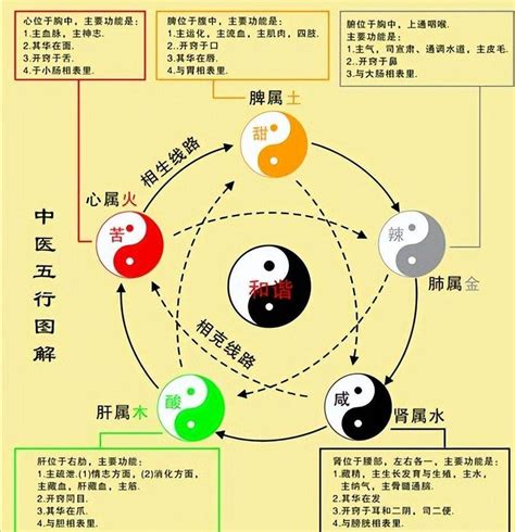 五行与颜色|易经中的五行对应颜色